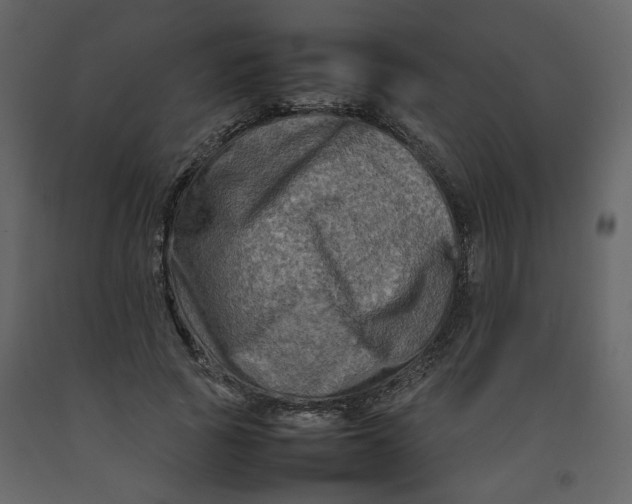 X0000092230737200710051218