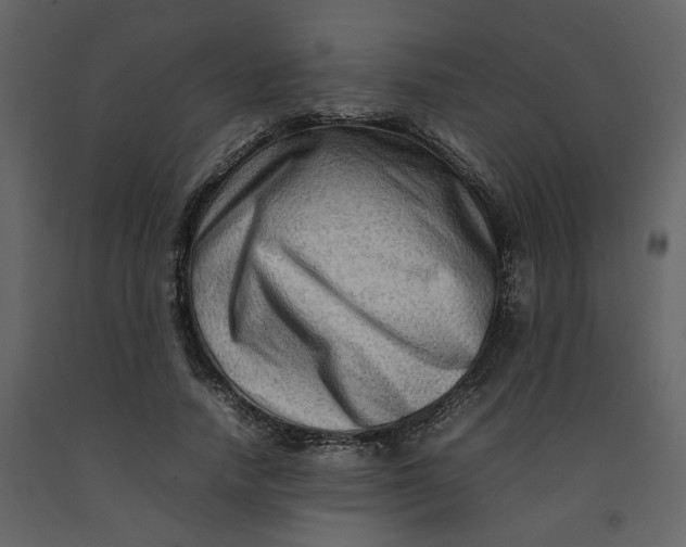 X0000092230738200710051218