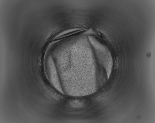 X0000092230739200710051218