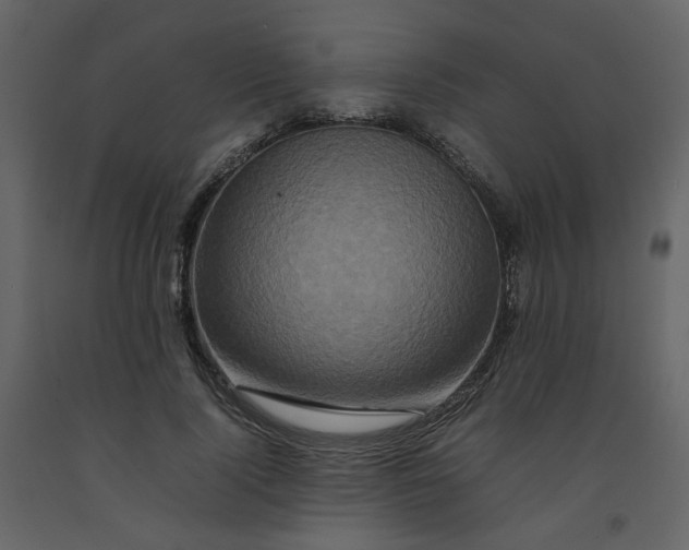 X0000092230740200710051218