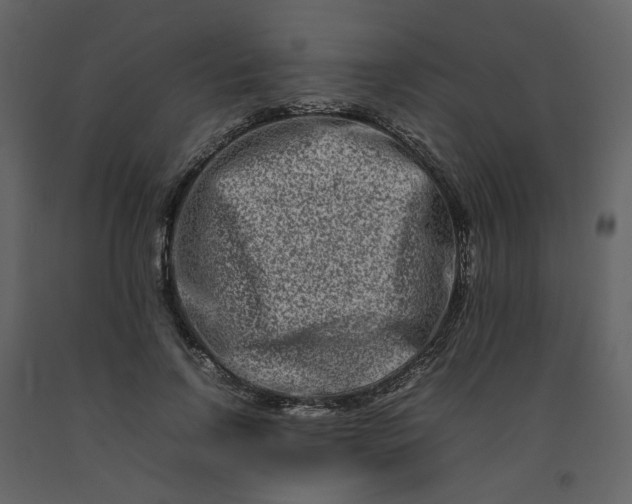 X0000092230742200710051218