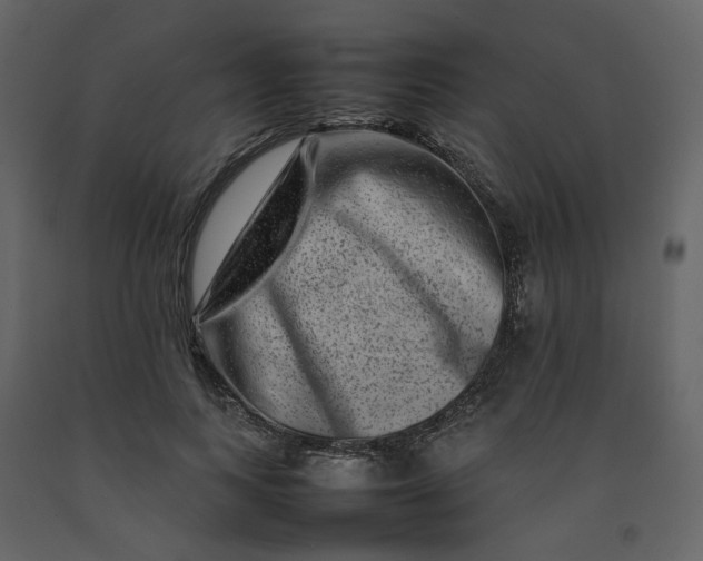 X0000092230743200710051218