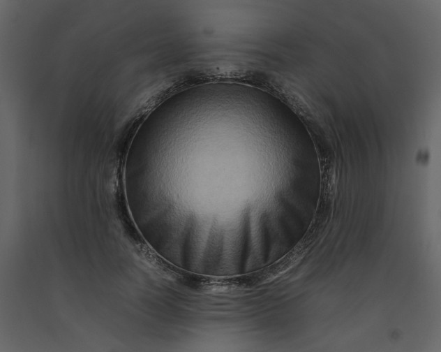 X0000092230746200710051218