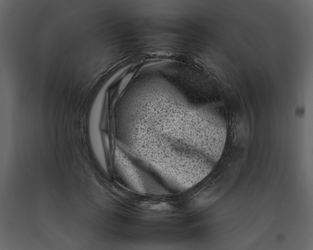 X0000092230747200710051218