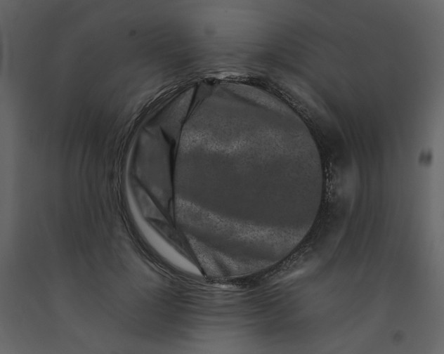 X0000092230748200710051218