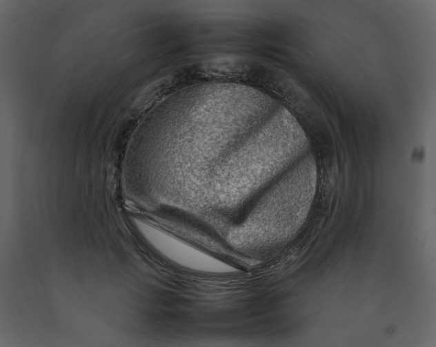 X0000092230749200710051218