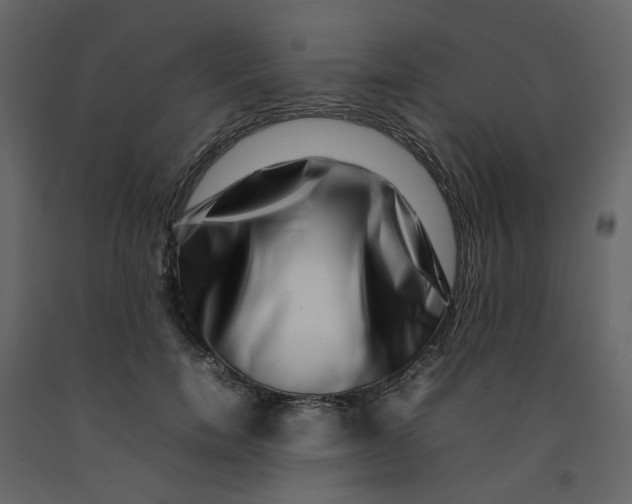 X0000092230750200710051218