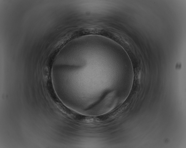 X0000092230752200710051218