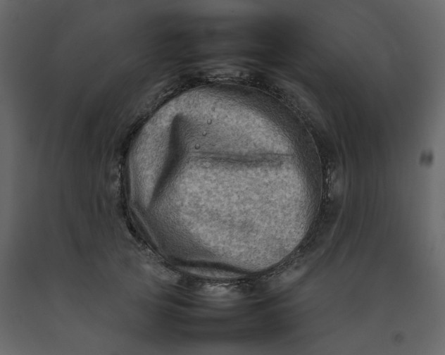 X0000092230753200710051218