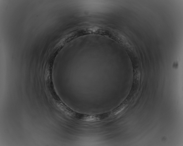 X0000092230754200710051218