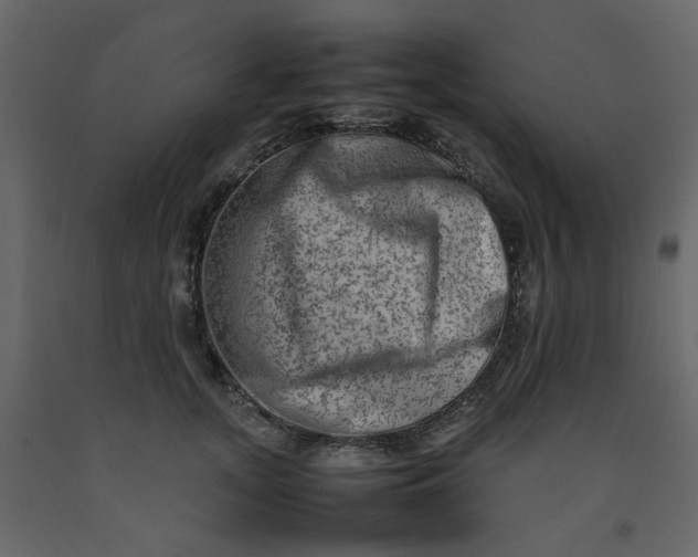 X0000092230755200710051218