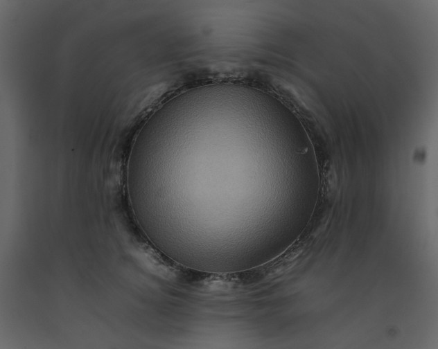 X0000092230756200710051218