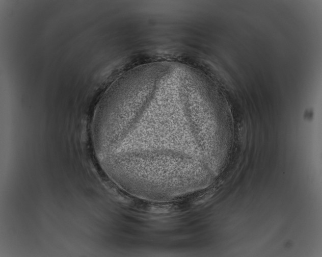 X0000092230757200710051218