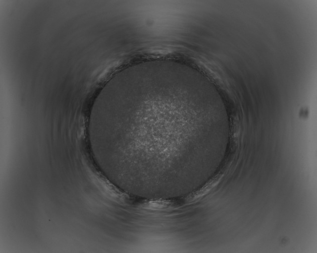 X0000092230758200710051218