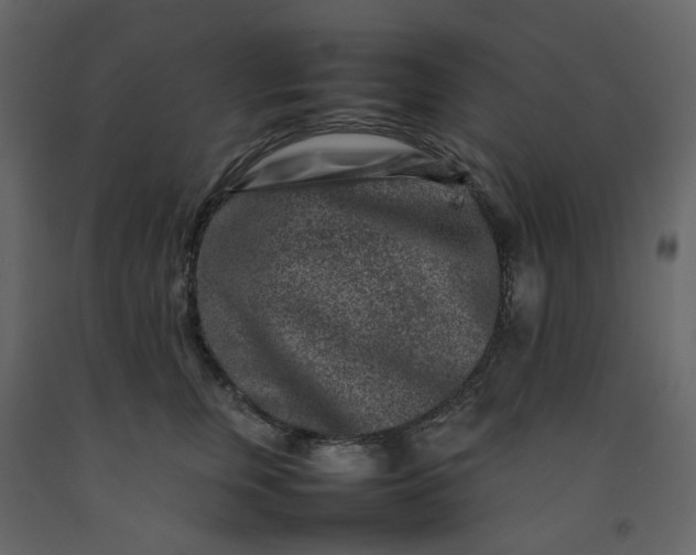 X0000092230759200710051218