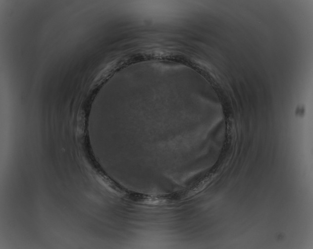 X0000092230760200710051218