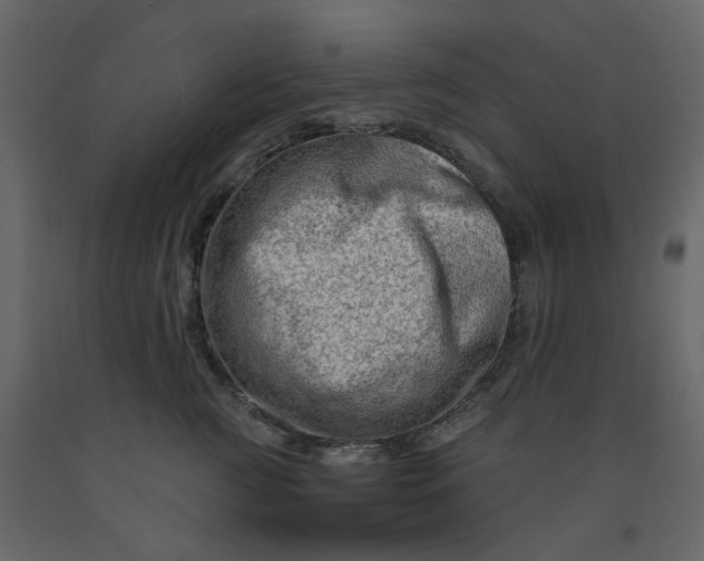 X0000092230761200710051218