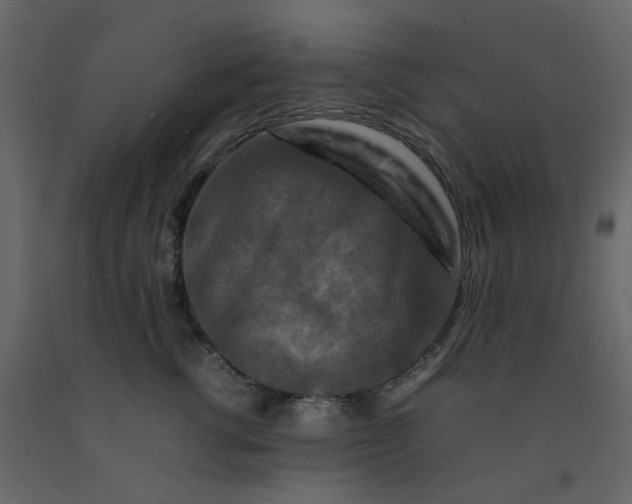 X0000092230762200710051218