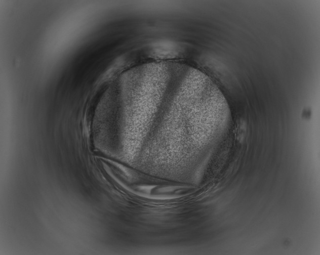 X0000092230763200710051218