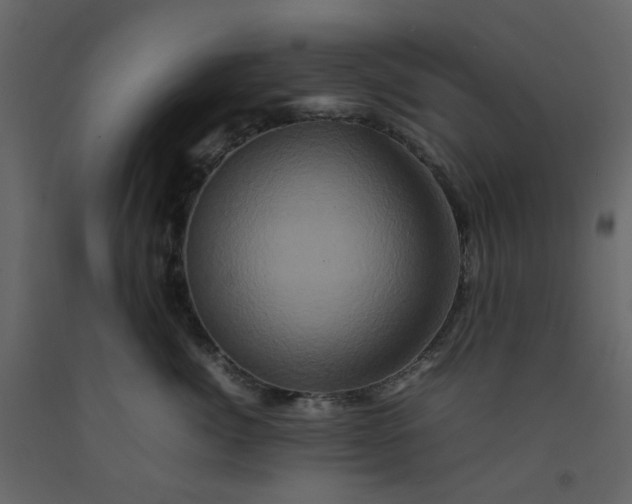 X0000092230764200710051218