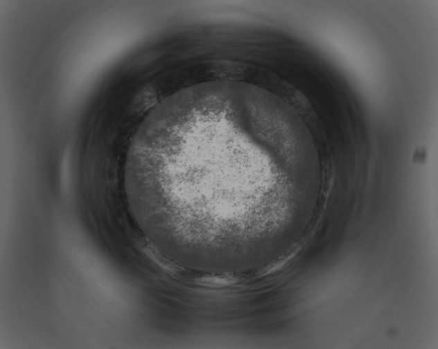 X0000092230765200710051218