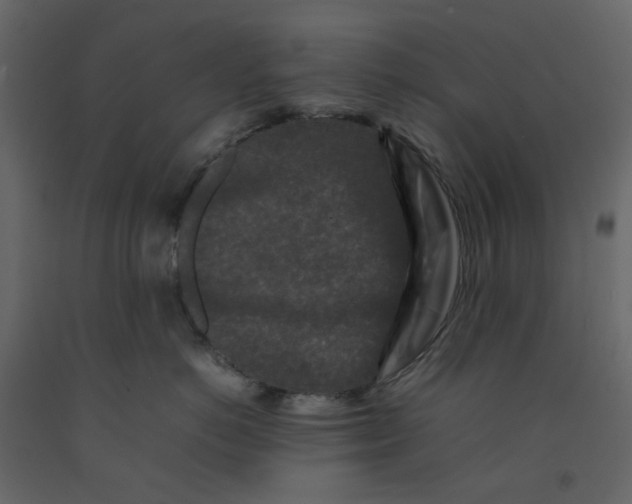 X0000092230766200710051218