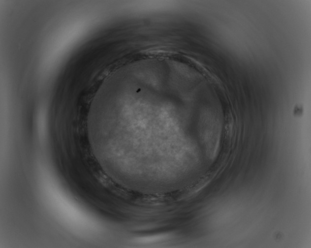 X0000092230767200710051218