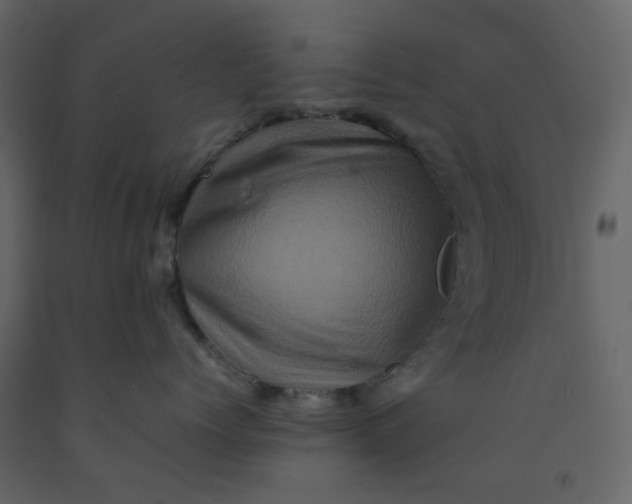 X0000092230768200710051219