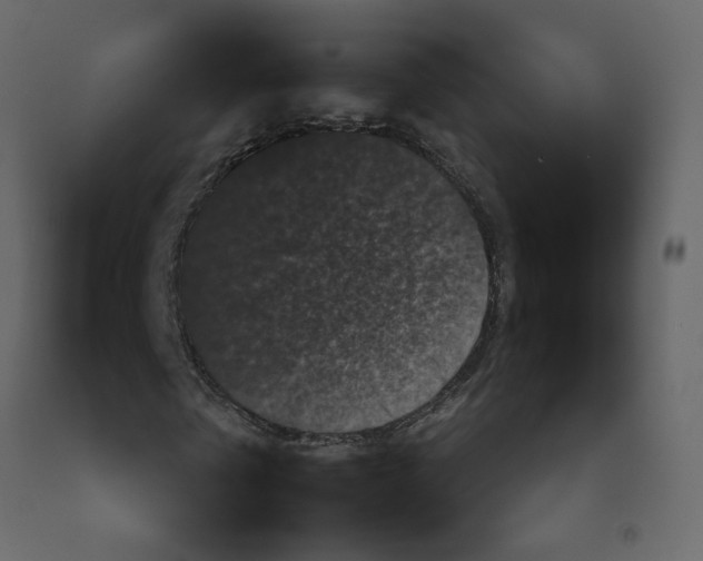 X0000092230769200710051218