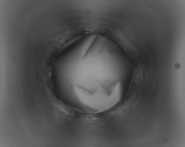 X0000092230770200710051218