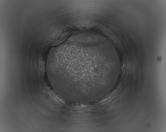 X0000092230772200710051218