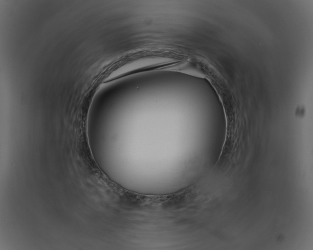 X0000092230773200710051218