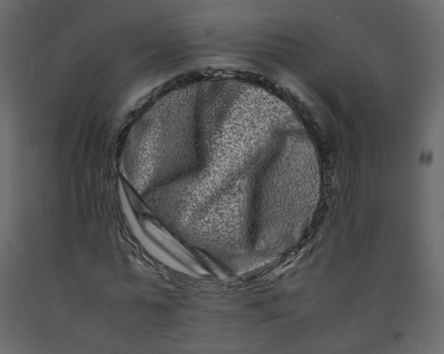 X0000092230775200710051218