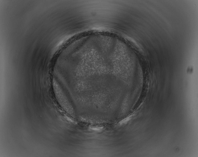 X0000092230776200710051218