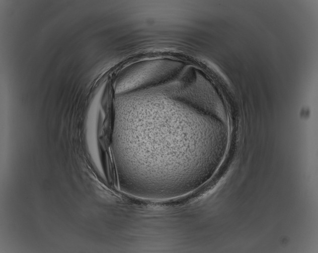 X0000092230777200710051218