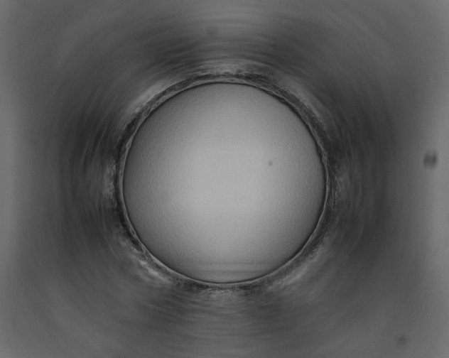 X0000092230778200710051218