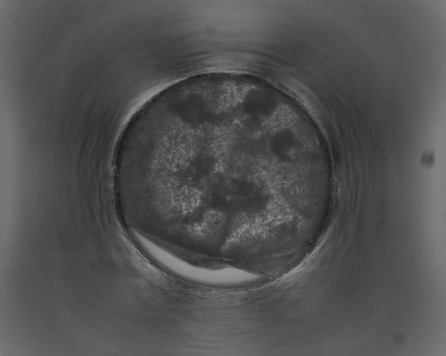 X0000092230779200710051218