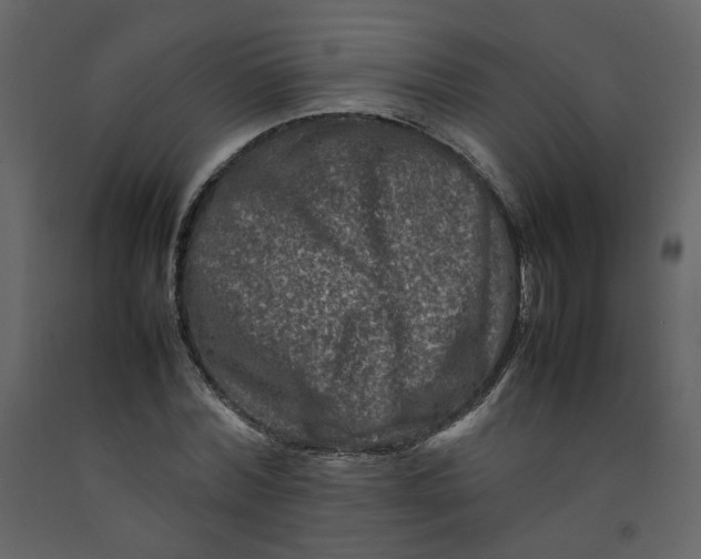 X0000092230780200710051218