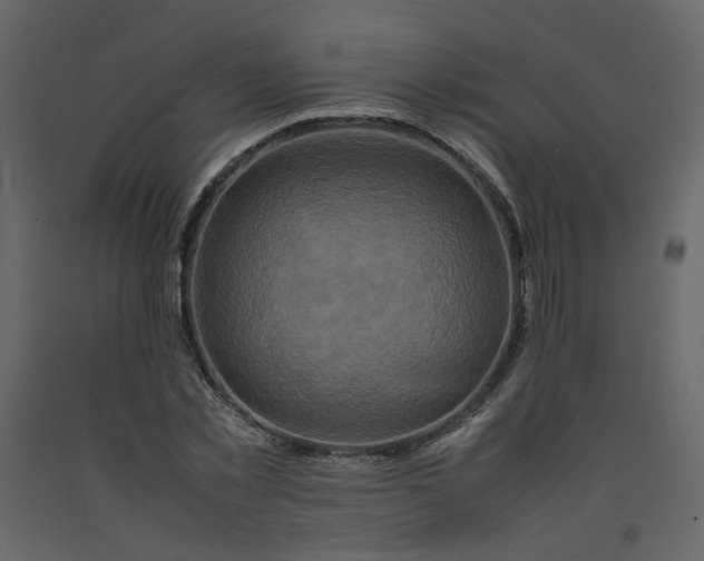 X0000092230781200710051218