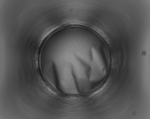 X0000092230782200710051218