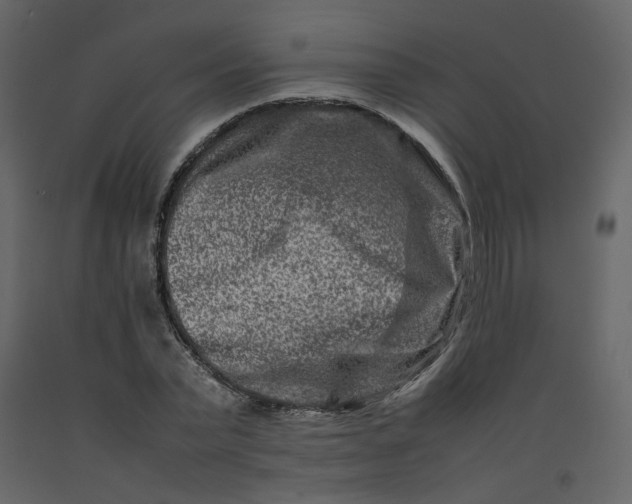 X0000092230783200710051218