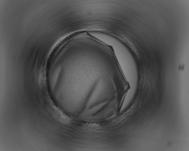 X0000092230784200710051218