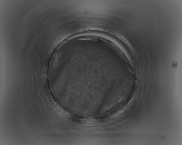 X0000092230785200710051218