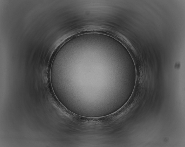 X0000092230786200710051218