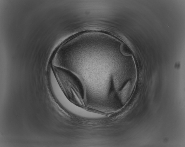 X0000092230787200710051218