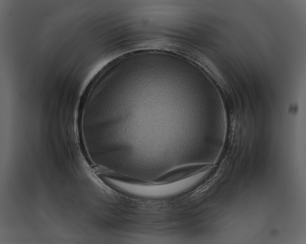 X0000092230788200710051218