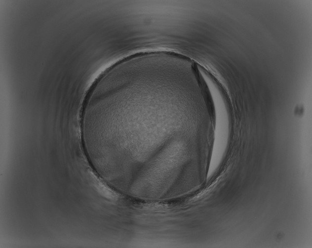 X0000092230789200710051218