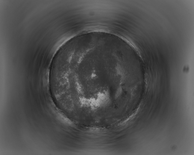 X0000092230790200710051218