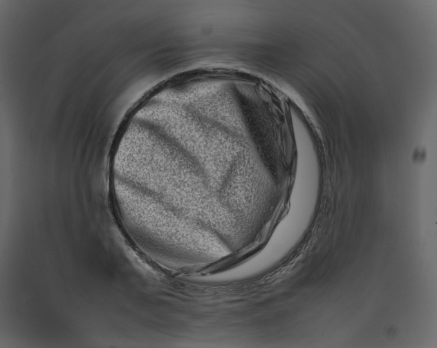 X0000092230791200710051218