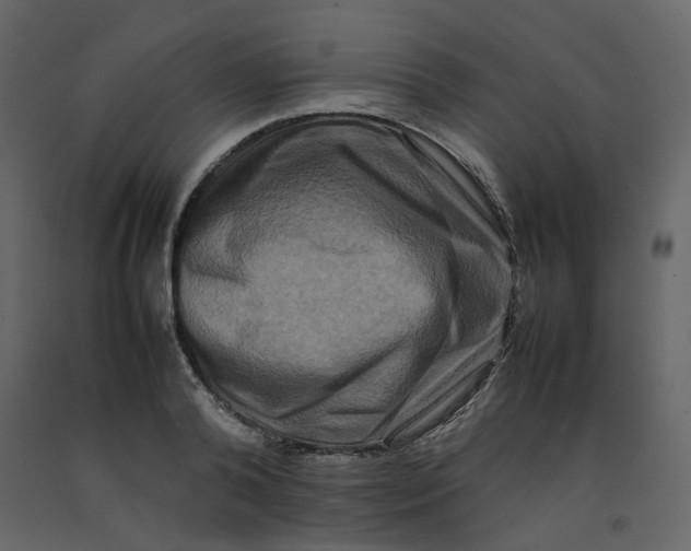 X0000092230792200710051218